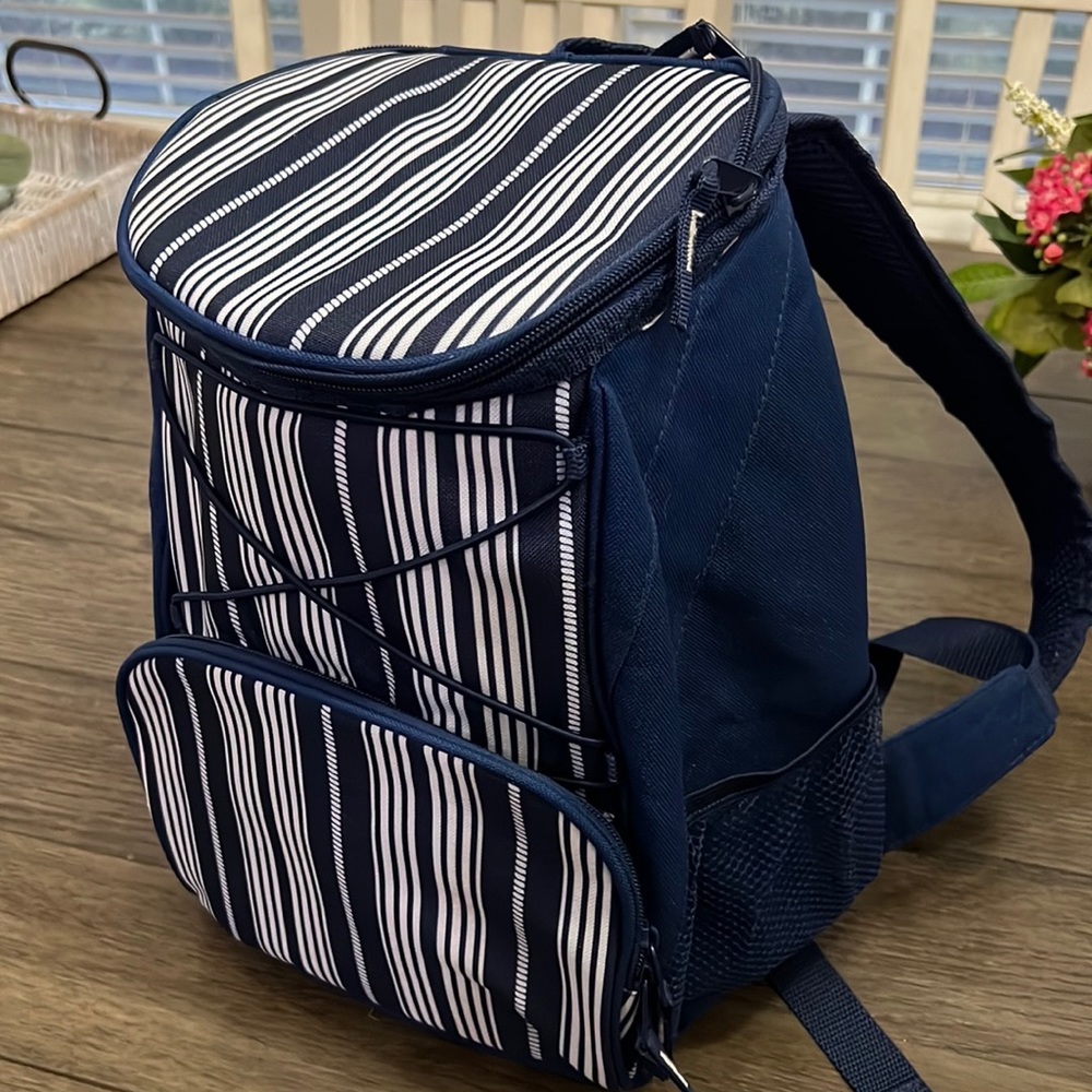 Picnic backpack NWOT